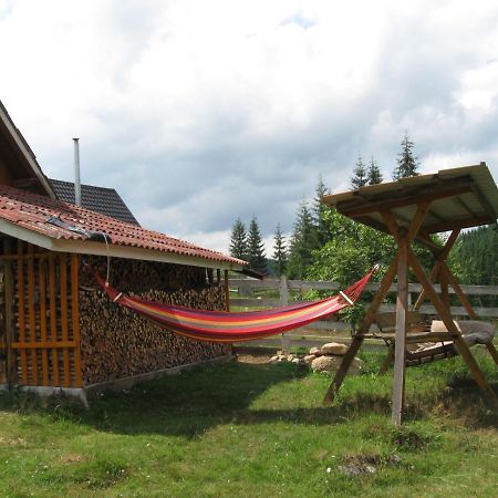 Podina Guest House Poiana Horea Zewnętrze zdjęcie