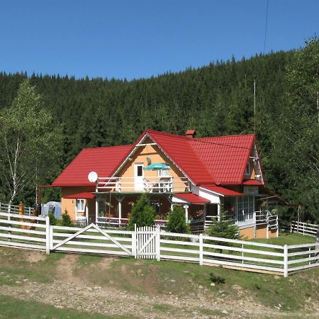 Podina Guest House Poiana Horea Zewnętrze zdjęcie