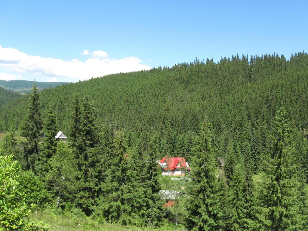 Podina Guest House Poiana Horea Zewnętrze zdjęcie