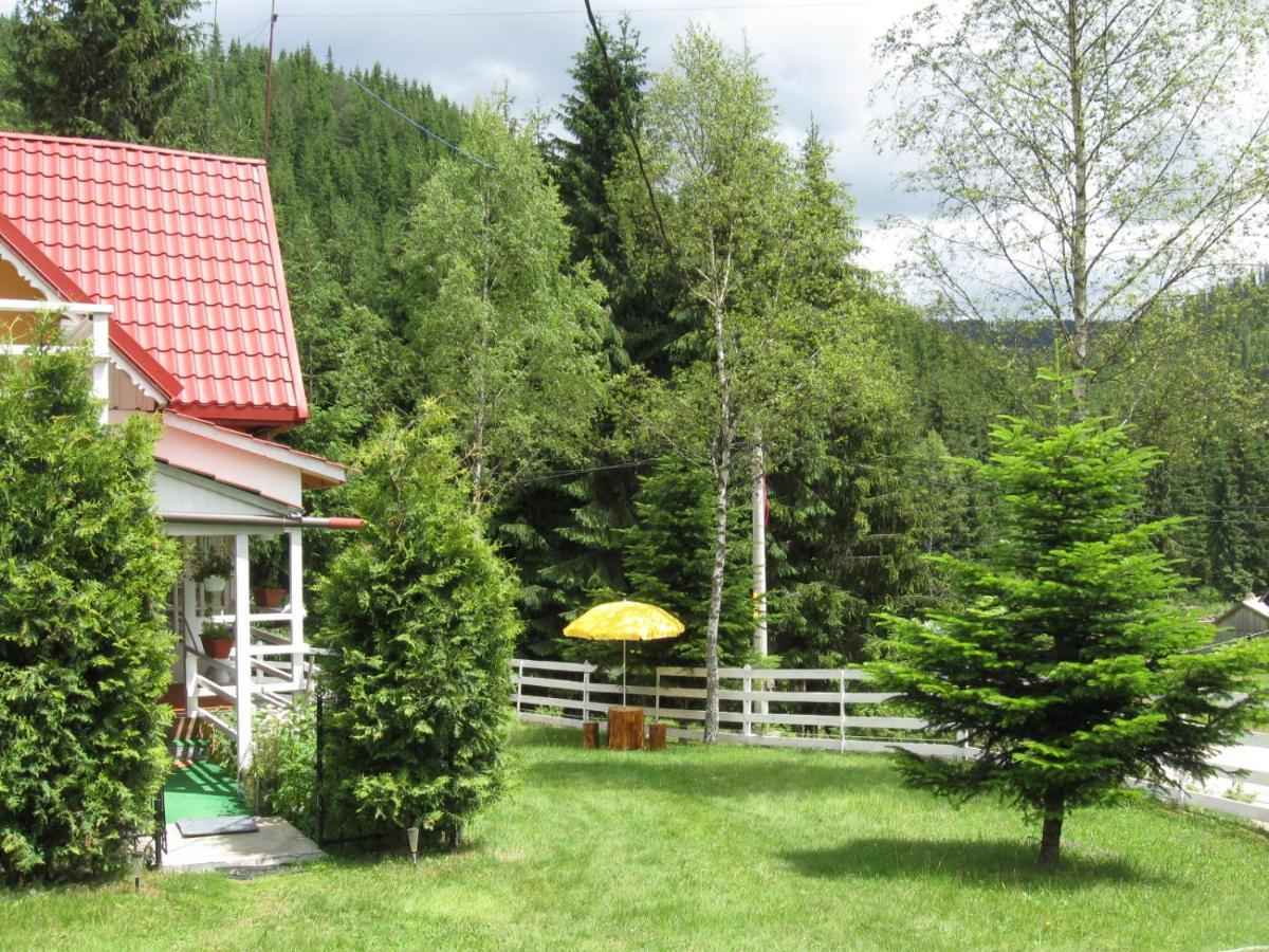 Podina Guest House Poiana Horea Zewnętrze zdjęcie