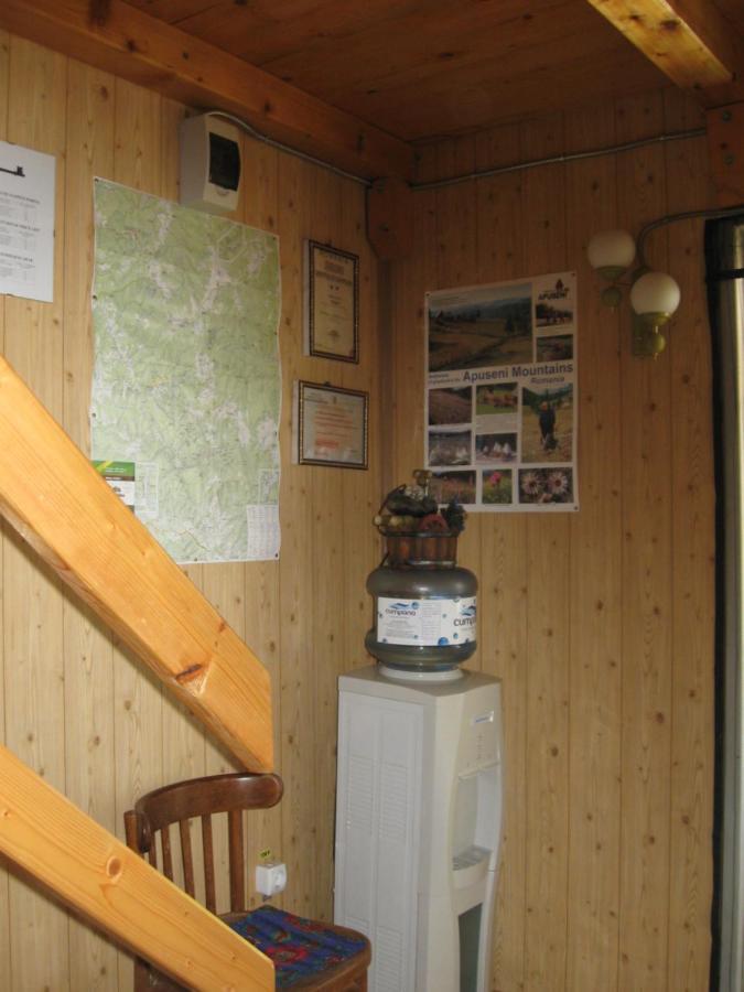 Podina Guest House Poiana Horea Zewnętrze zdjęcie