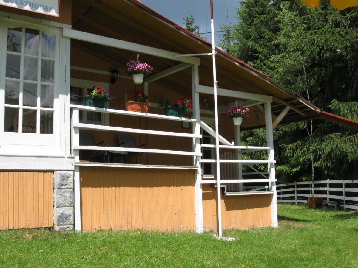 Podina Guest House Poiana Horea Zewnętrze zdjęcie