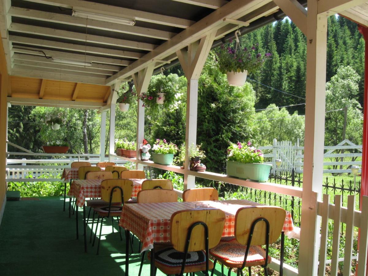 Podina Guest House Poiana Horea Zewnętrze zdjęcie
