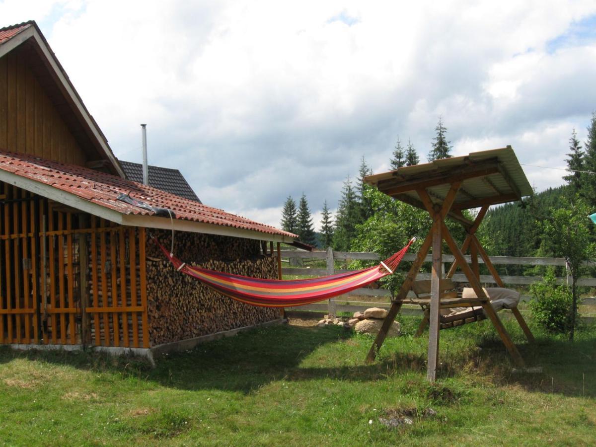 Podina Guest House Poiana Horea Zewnętrze zdjęcie
